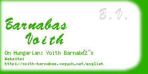 barnabas voith business card
